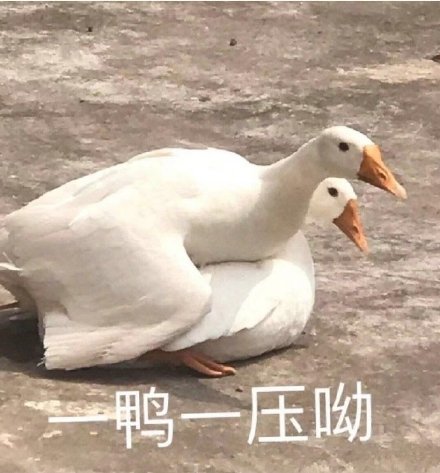 微信搞笑无厘头表情包6/16（三）