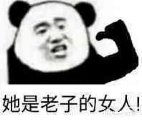 微信近期斗图恶搞表情包2020/6/16（二）