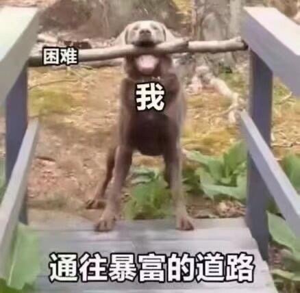 微信搞笑无厘头表情包6/16（三）