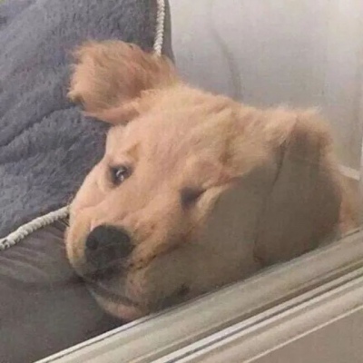 沙雕搞笑可爱一对两张微信情头