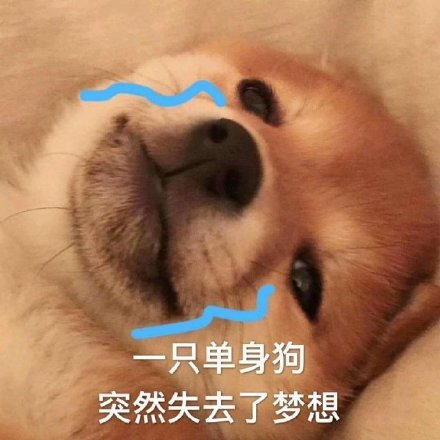 微信搞笑无厘头表情包6/16(三)