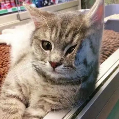 沙雕搞笑可爱一对两张微信情头