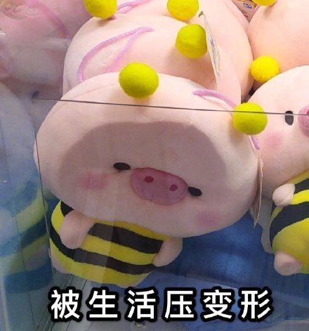 微信搞笑无厘头表情包6/16(三)