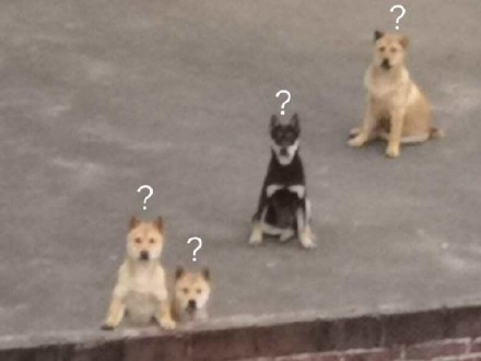 微信搞笑无厘头表情包6/16(一)