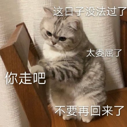 微信搞笑无厘头表情包6/16（三）