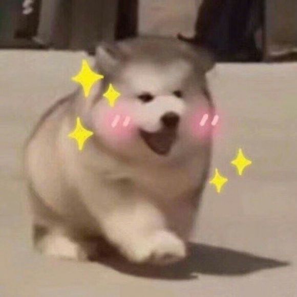 微信近期斗图恶搞表情包2020/6/16