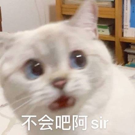微信搞笑可爱卖萌表情6/16（三）