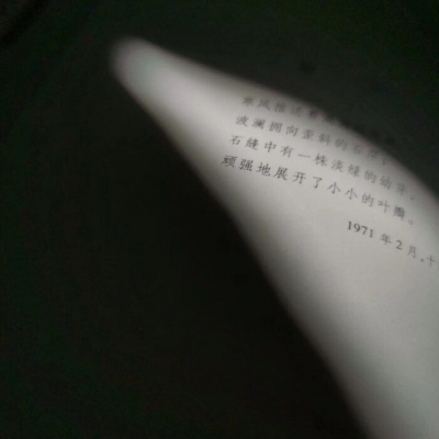 风景静物意境背景图