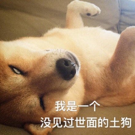微信搞笑可爱卖萌表情6/16（二）