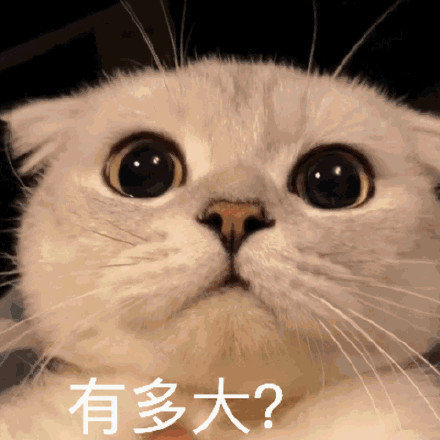 微信搞笑可爱卖萌表情6/16（二）