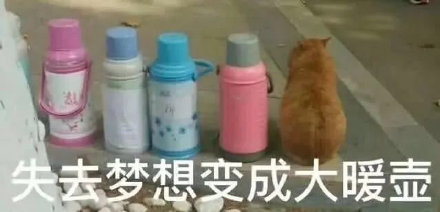 微信搞笑可爱卖萌表情6/16（三）
