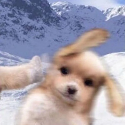 沙雕搞笑可爱一对两张微信情头