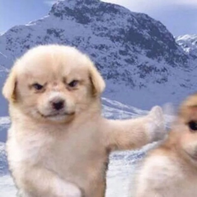 沙雕搞笑可爱一对两张微信情头