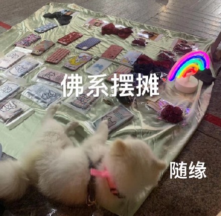 微信搞笑可爱卖萌表情6/16（二）