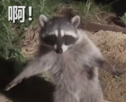 微信搞笑无厘头表情包6/17（二）