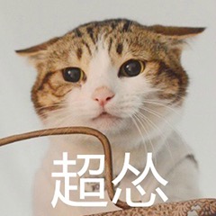 猫猫怂微信表情包