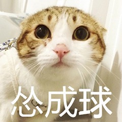 猫猫怂微信表情包