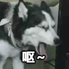 微信搞笑无厘头表情包6/17（二）