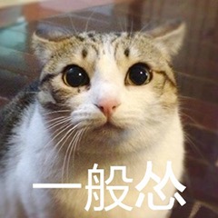 猫猫怂微信表情包
