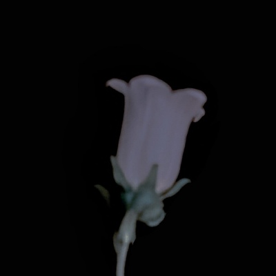 意境白色与众不同禁欲背景图