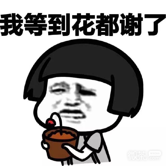 曾经的流行语微信蘑菇头表情包