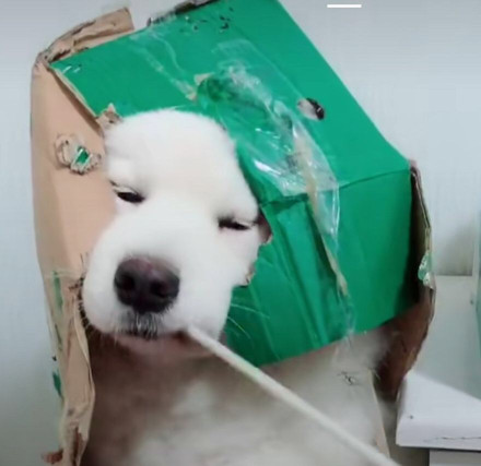 微信搞笑无厘头表情包6/17（二）