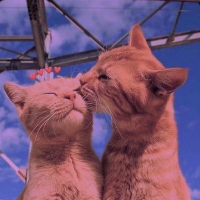 个性梦幻唯美紫色天空背景图