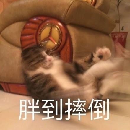 微信搞笑无厘头表情包6/18（一）