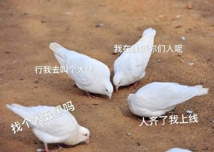 微信搞笑可爱卖萌表情6/18（三）