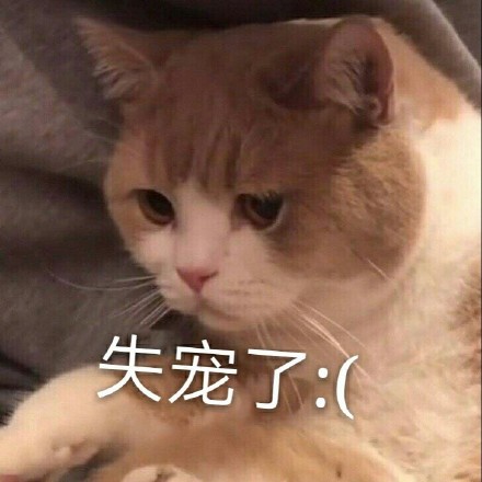 微信搞笑可爱卖萌表情6/18（一）