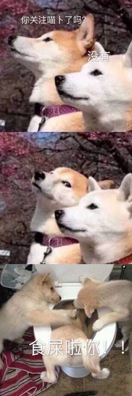 微信搞笑无厘头表情包6/18（二）