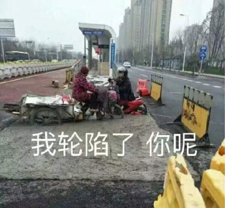 微信搞笑可爱卖萌表情6/18（三）