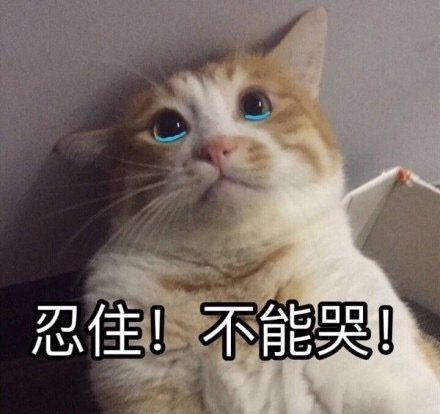 微信搞笑可爱卖萌表情6/18（二）