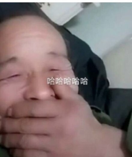 微信搞笑无厘头表情包6/18（二）