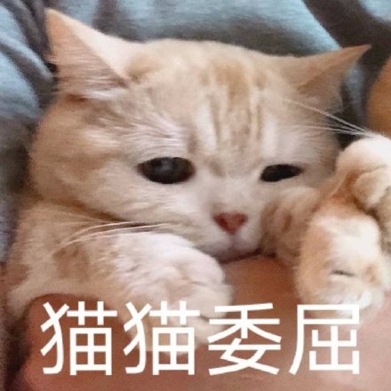 微信搞笑可爱卖萌表情6/18（二）