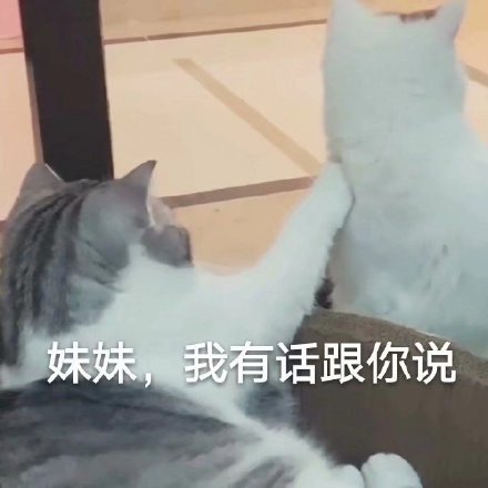 微信搞笑可爱卖萌表情6/18（三）