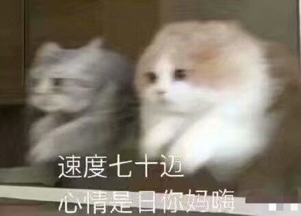 微信搞笑可爱卖萌表情6/18（二）
