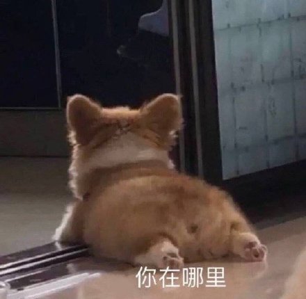 微信搞笑可爱卖萌表情6/18（二）