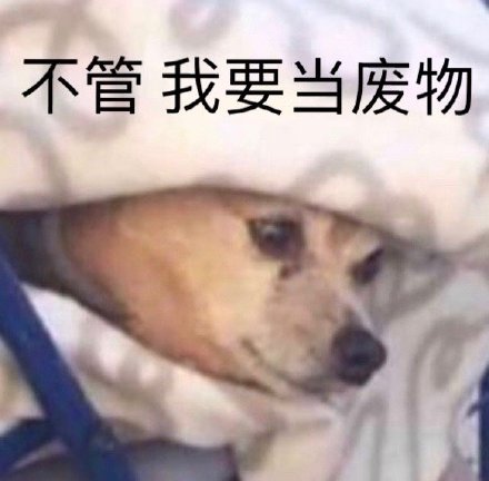 微信搞笑无厘头表情包6/18（二）