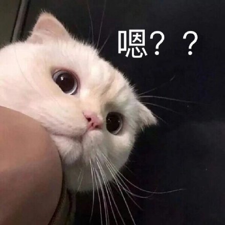 微信搞笑可爱卖萌表情6/18（三）