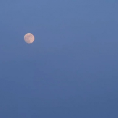 意境傍晚清新背景图