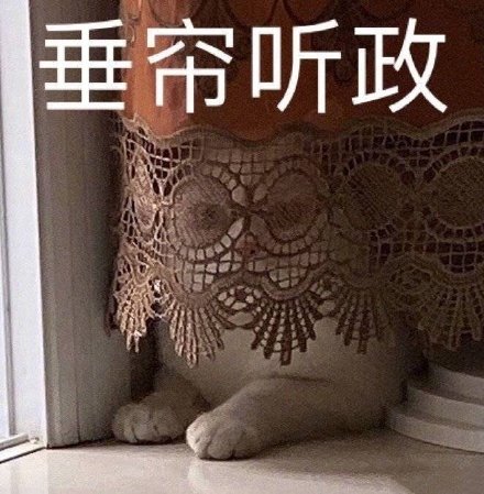 微信搞笑可爱卖萌表情6/18（二）