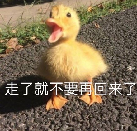 微信搞笑无厘头表情包6/18（二）