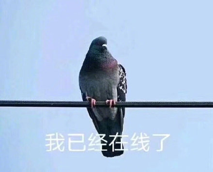 微信搞笑可爱卖萌表情6/18（三）