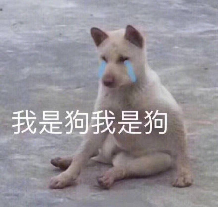 微信搞笑可爱卖萌表情6/18（三）