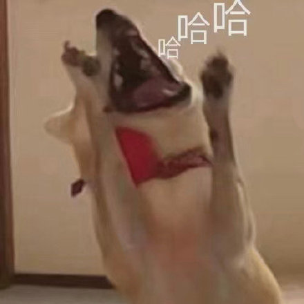 微信搞笑无厘头表情包6/18（三）