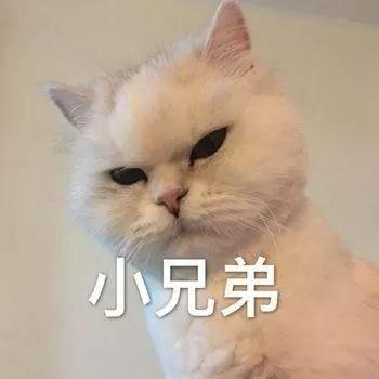 微信搞笑可爱卖萌表情6/18（三）