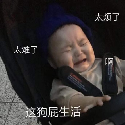 微信搞笑可爱卖萌表情6/18（三）