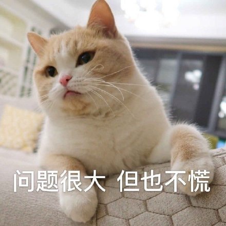 微信搞笑可爱卖萌表情6/18（三）