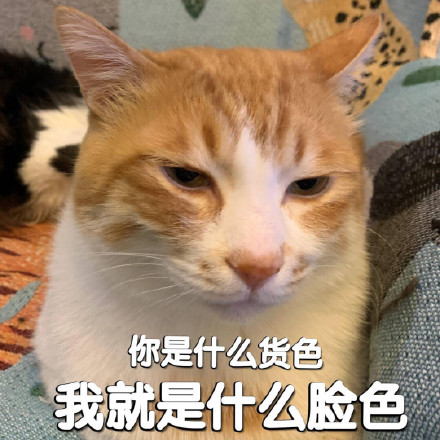 微信搞笑可爱卖萌表情6/18（三）